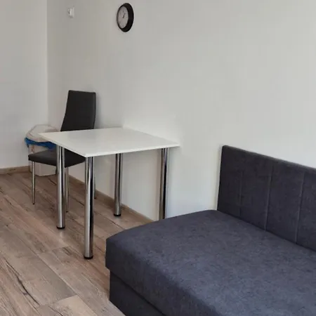 Appartement Tulip - Jednoosobowy Nr 1 Ze Wspolna Lazienka I Kuchnia